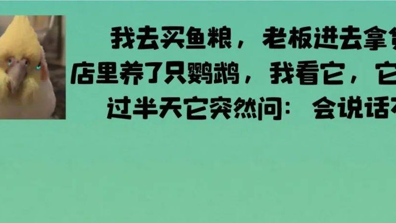 零食批发全流程解析：从源头到货架